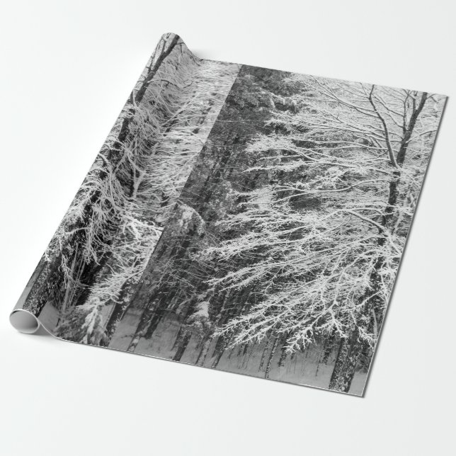 Maple Tree Outlined In Snow Wrapping Paper (Unrolled)