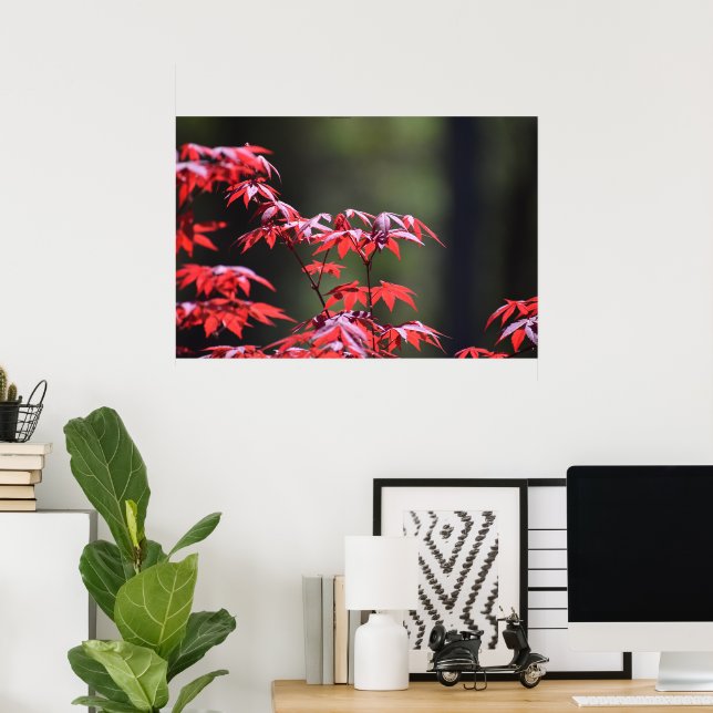 Maple Tree,  Poster (Home Office)