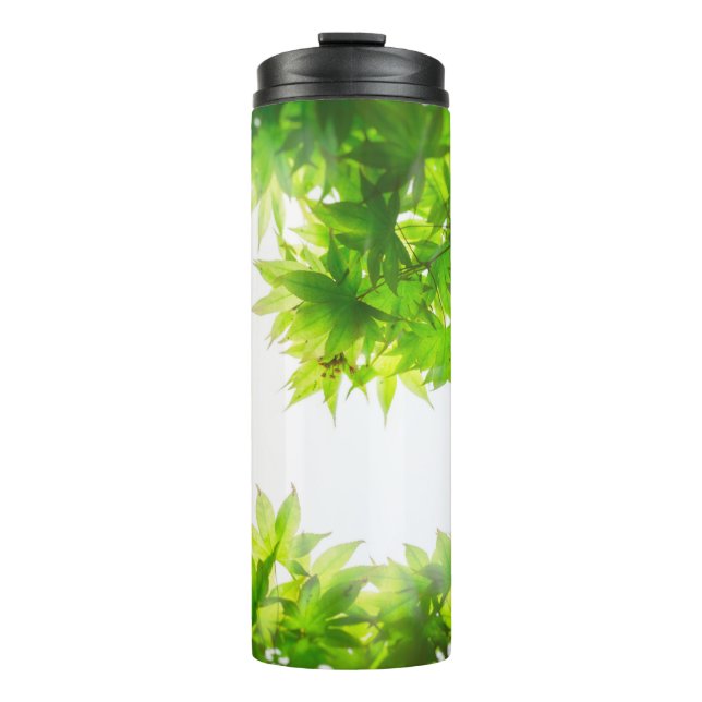 Maple tree tree leaf twig texture thermal tumbler (Front)
