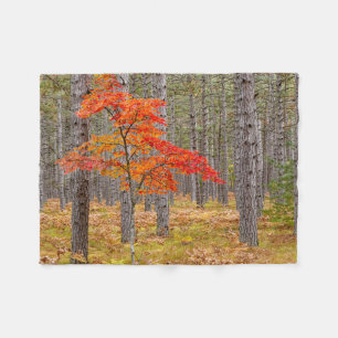 Maple Tree with Autumn Colours Fleece Blanket