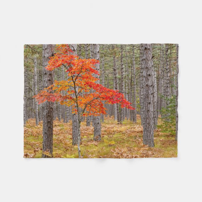 Maple Tree with Autumn Colours Fleece Blanket (Front (Horizontal))