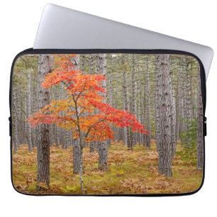 Maple Tree with Autumn Colours Laptop Sleeve