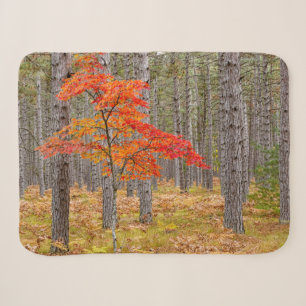 Maple Tree with Autumn Colours Sherpa Blanket