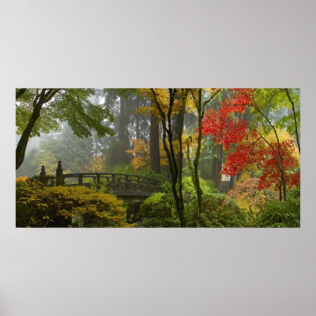 Maple Trees Fall Colours in Japanese Garden Poster (Front)
