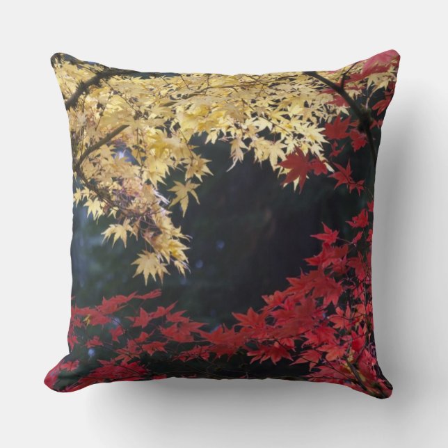 Maple trees in autumn colour cushion (Front)
