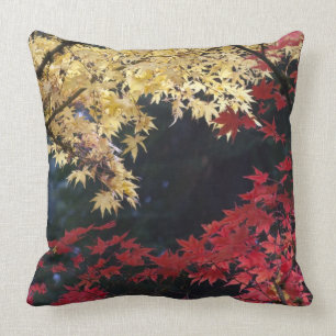 Maple trees in autumn colour cushion