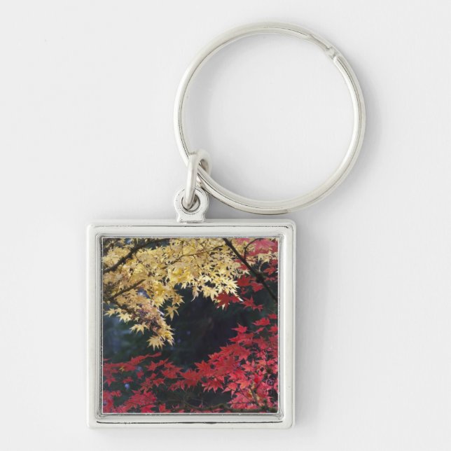 Maple trees in autumn colour key ring (Front)