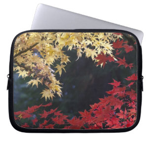 Maple trees in autumn colour laptop sleeve