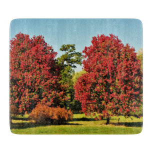Maple trees in autumn - glass chopping board