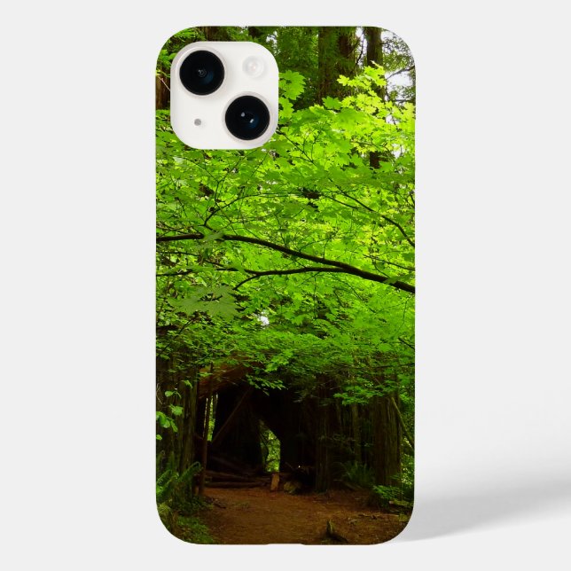 Maple Trees in Redwood Forest Case-Mate iPhone Case (Back)