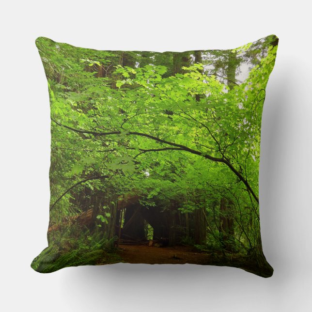 Maple Trees in Redwood Forest Cushion (Front)