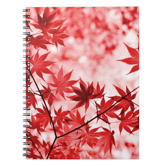 Maple Trees Leaves Design-29997 Notebook (Front)