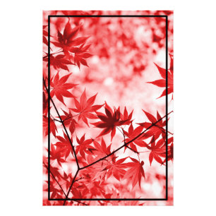 Maple Trees Leaves Design Photo Print