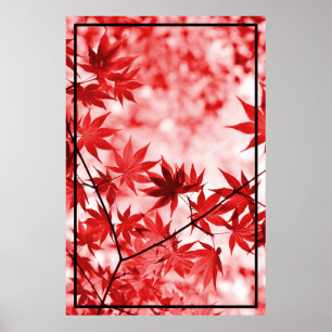 Maple Trees Leaves Design Poster