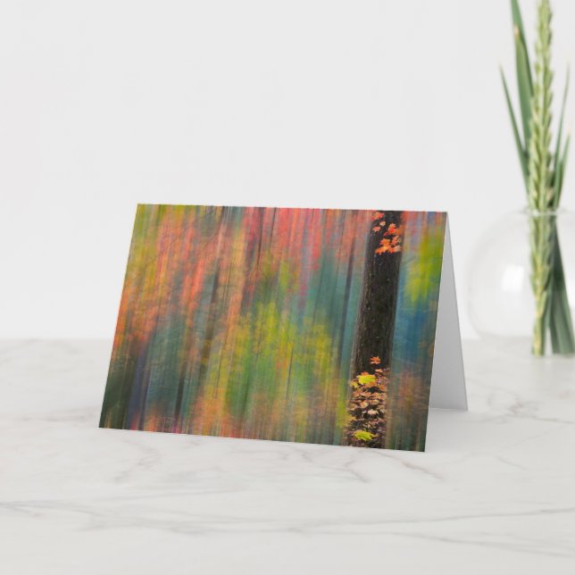 Maple Trees | Silver Falls State Park Card (Front)