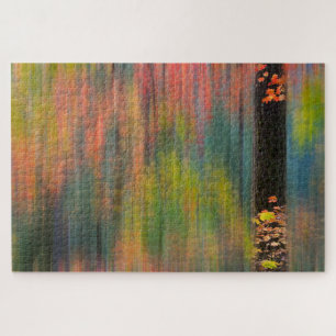 Maple Trees Silver Falls State Park Jigsaw Puzzle
