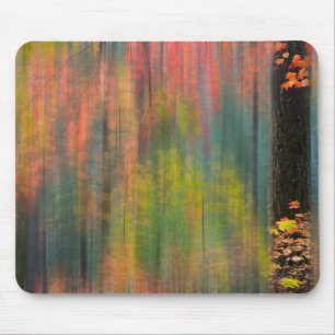 Maple Trees   Silver Falls State Park Mouse Pad