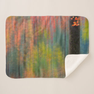 Maple Trees   Silver Falls State Park Sherpa Blanket
