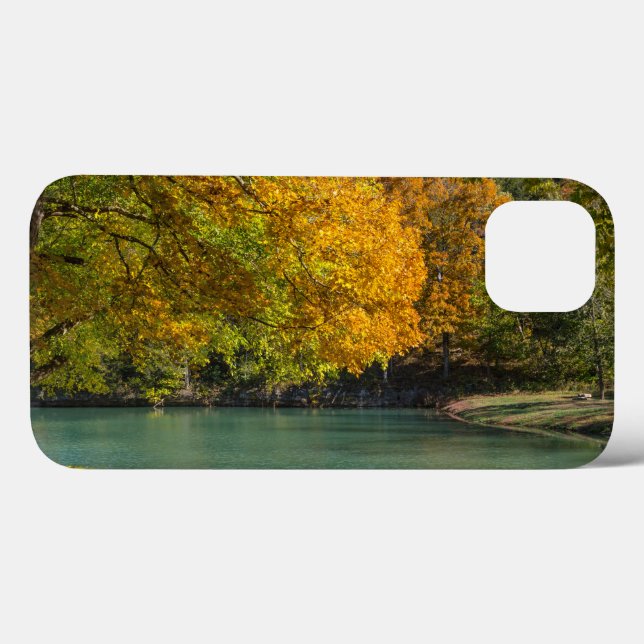 Maple Umbrella Over Dogwood Creek Case-Mate iPhone Case (Back (Horizontal))