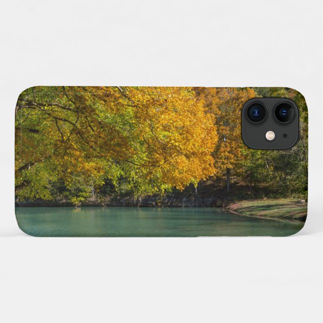 Maple Umbrella Over Dogwood Creek iPhone Case (Back (Horizontal))