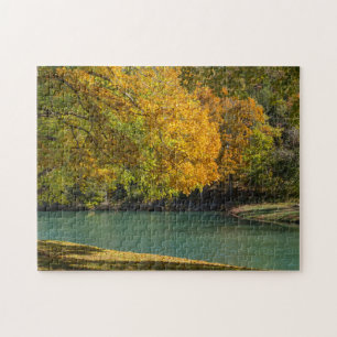 Maple Umbrella Over Dogwood Creek Jigsaw Puzzle