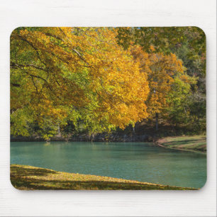 Maple Umbrella Over Dogwood Creek Mouse Pad
