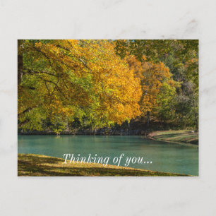 Maple Umbrella Over Dogwood Creek Postcard