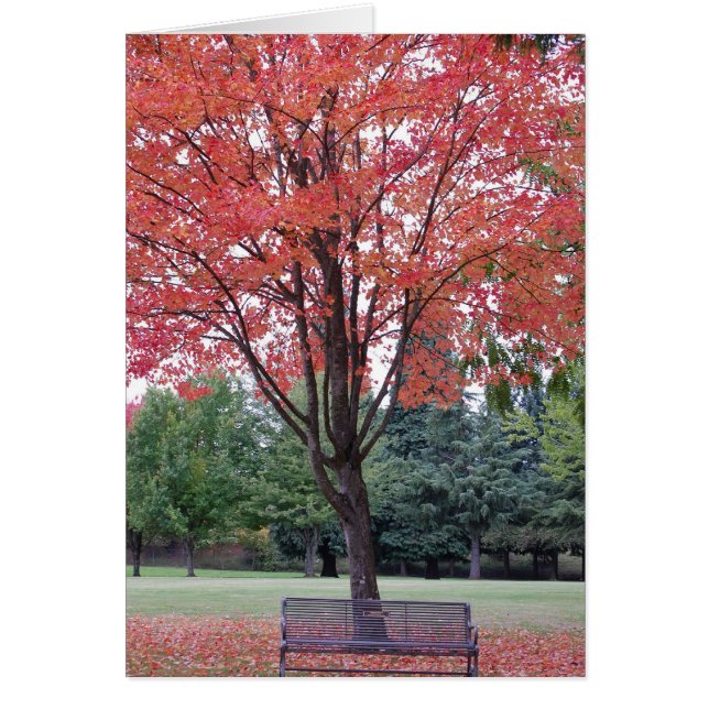 Maple with Bench Card (Front)