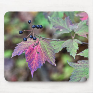 Mapleleaf Viburnum Autumn Leaves and Berries Mouse Pad