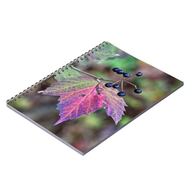 Mapleleaf Viburnum Autumn Leaves and Berries Notebook (Left Side)