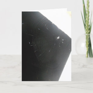 “Maplewood Spider" Hallowe’en Card