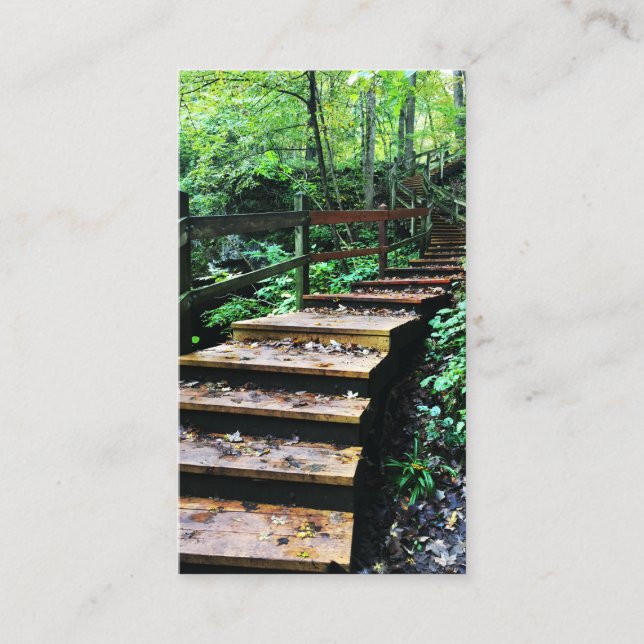 maquoketa caves state park staircase business card (Front)