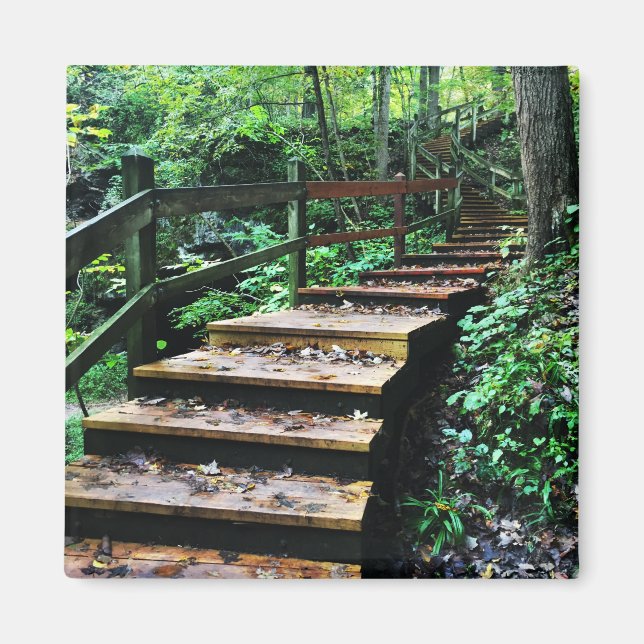 maquoketa caves state park staircase magnet (Front)