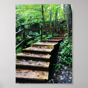 maquoketa caves state park staircase poster