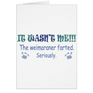 mar112015fartWeimaraner.jpg