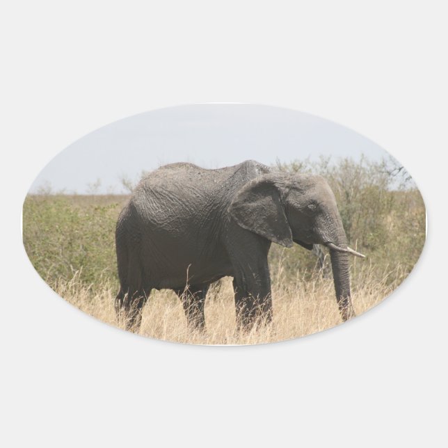 mara elephant oval sticker (Front)