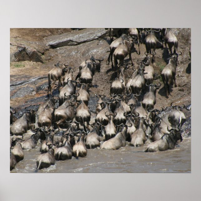 mara wilde beest poster (Front)