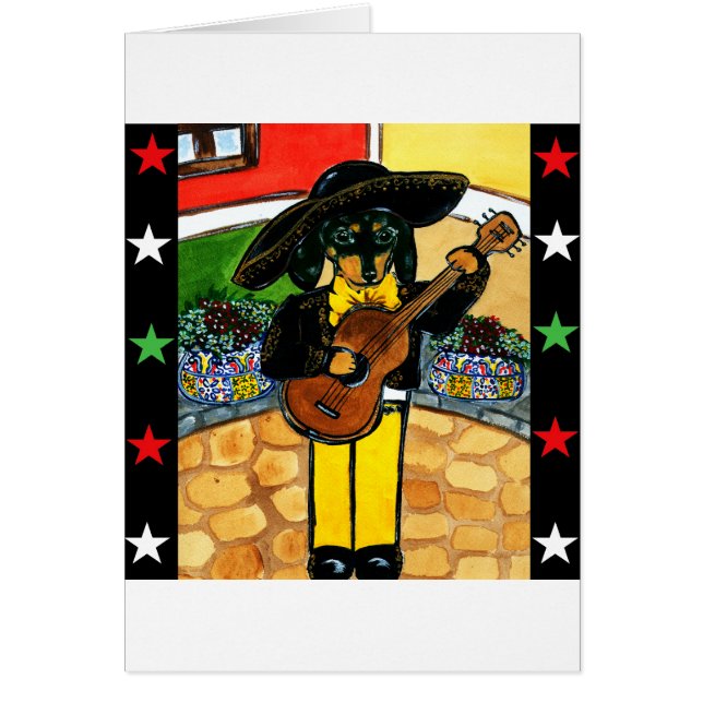 Marachi Doxie (Front)