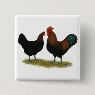 Marans Black Copper 15 Cm Square Badge
