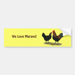 Marans Black Copper Bumper Sticker