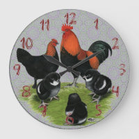Marans Black Copper Chicken Family