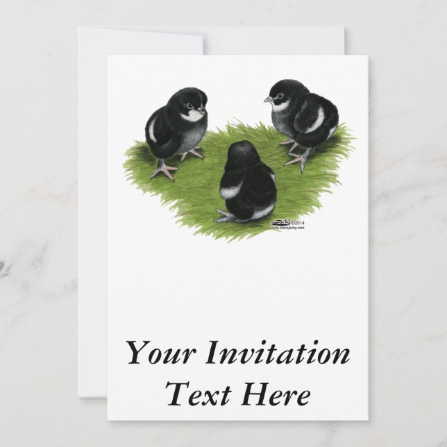 Marans Black Copper Chicks Invitation (Front)
