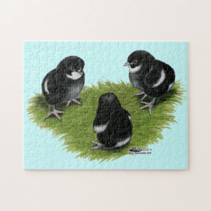 Marans Black Copper Chicks Jigsaw Puzzle