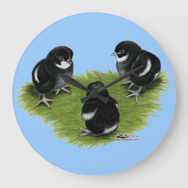 Marans Black Copper Chicks Large Clock (Front)