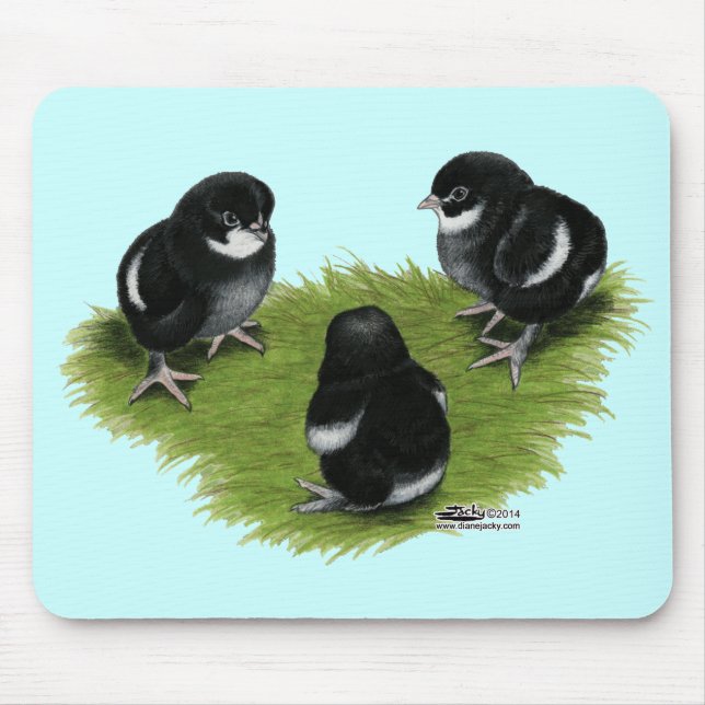 Marans Black Copper Chicks Mouse Pad (Front)