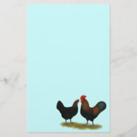Marans Black Copper