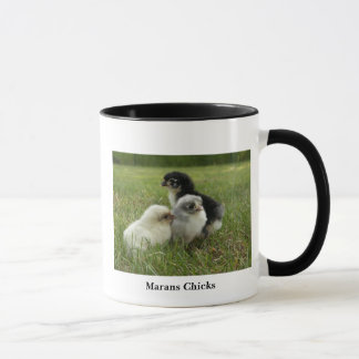 Marans Chicks Mug