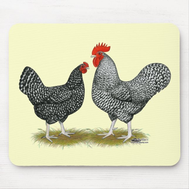 Marans:  Cuckoo Pair Mouse Pad (Front)