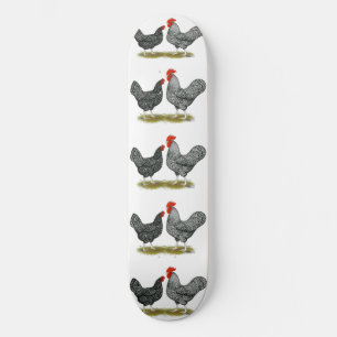 Marans:  Cuckoo Pair Skateboard