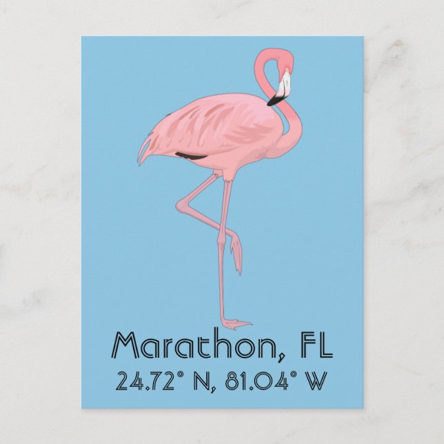 Marathon FL Keys Flamingo Latitude Longitude Postcard (Front)